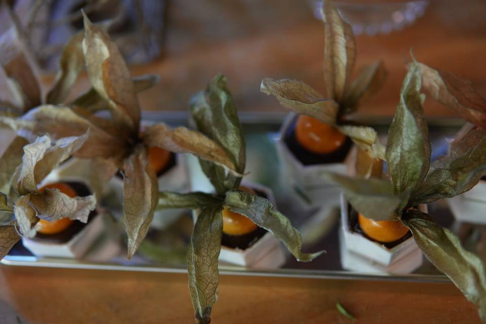Copinho de Physalis