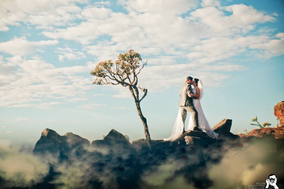 Trash the dress