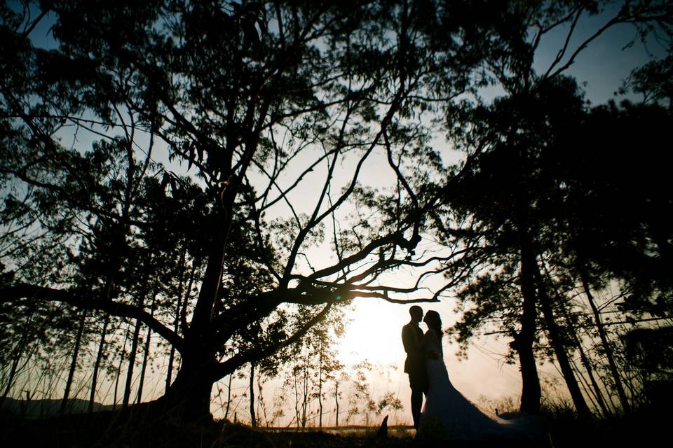 Trash the dress