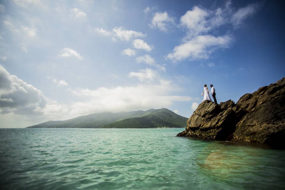 Trash the Dress