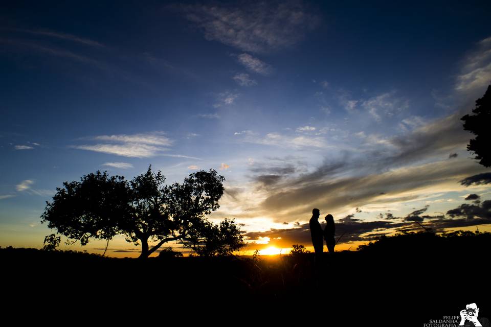 Felipe Saldanha Fotografia