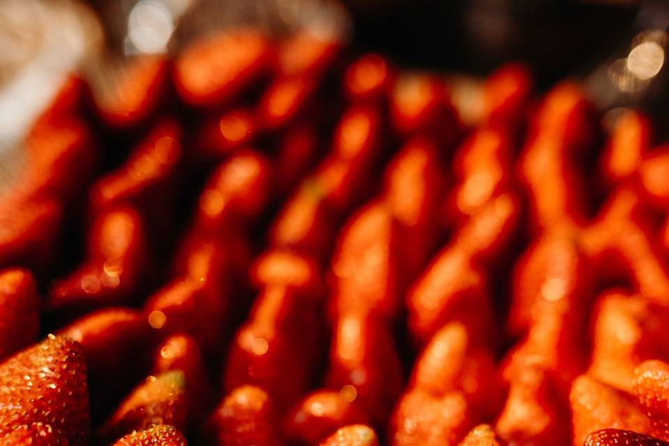 Fondue de chocolate para festa