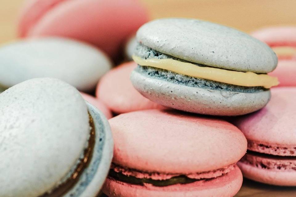 Macarons sortidos