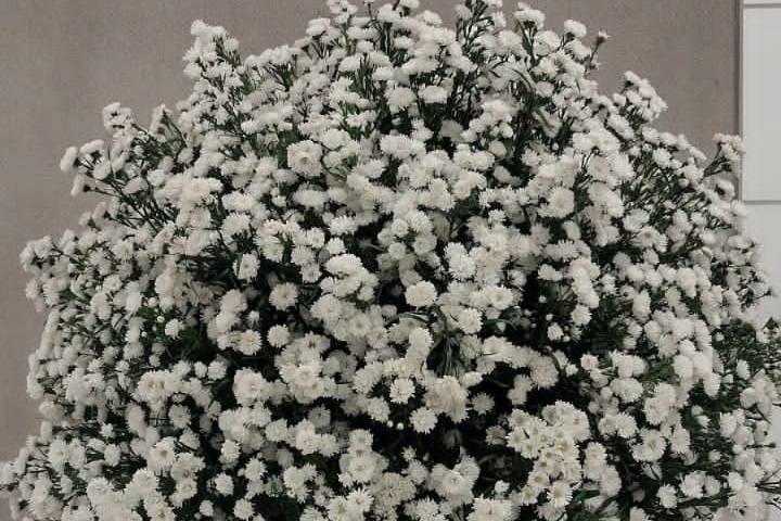 Arranjo floral decorativo