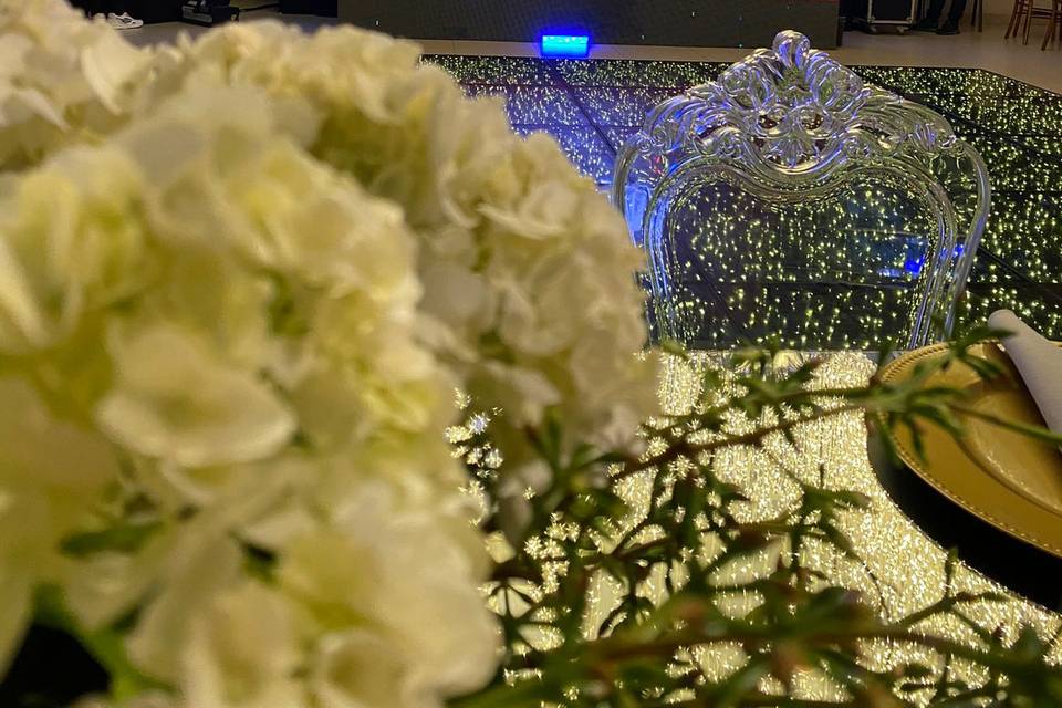 Telas de led + pista de dança