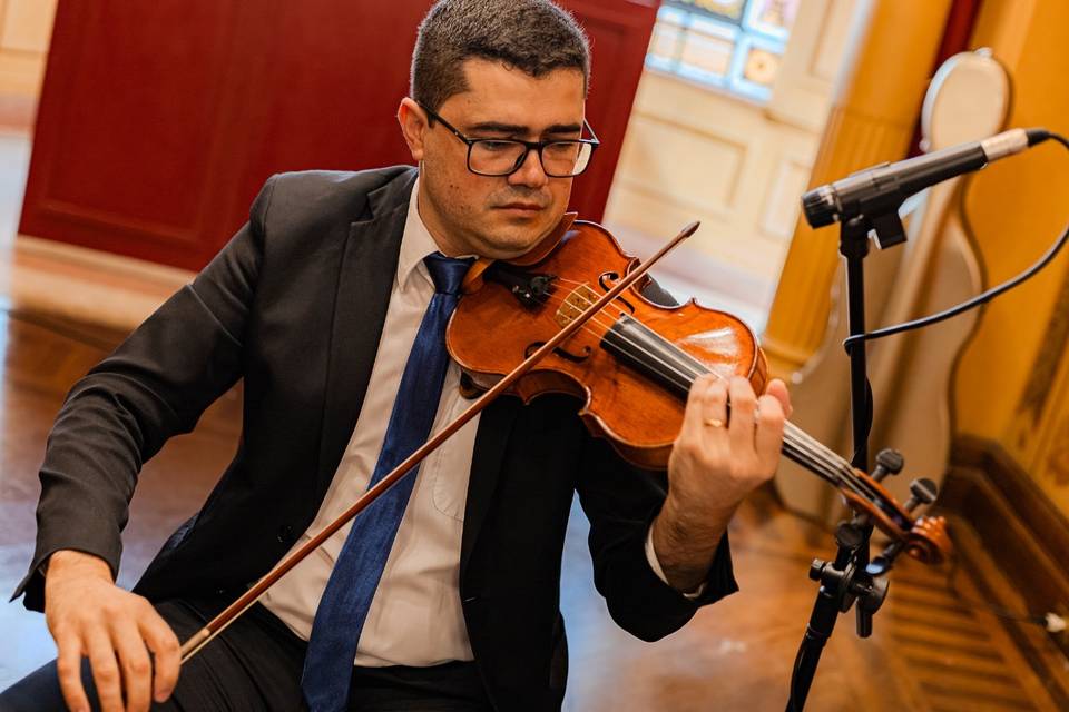 Violino