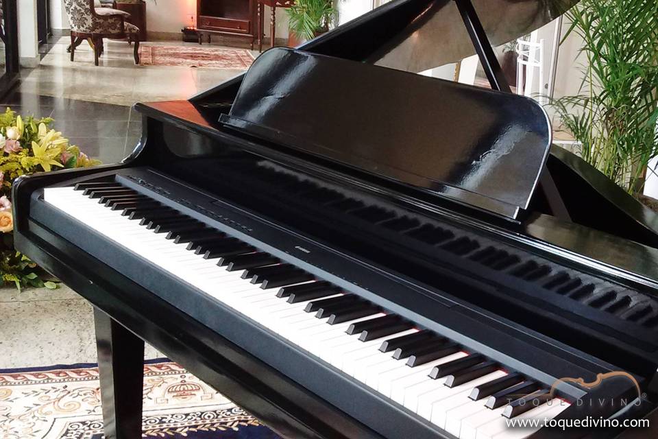 Que tal um piano de cauda?