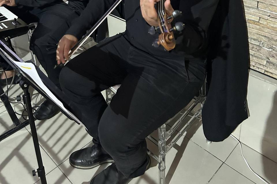 Violino