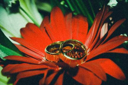 Aliança de amor