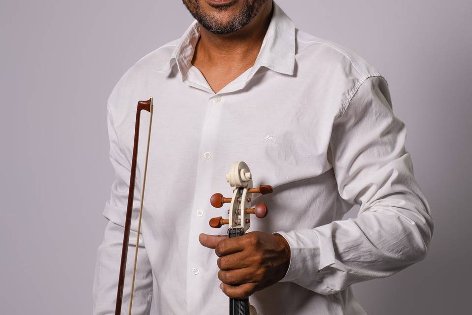 Violino