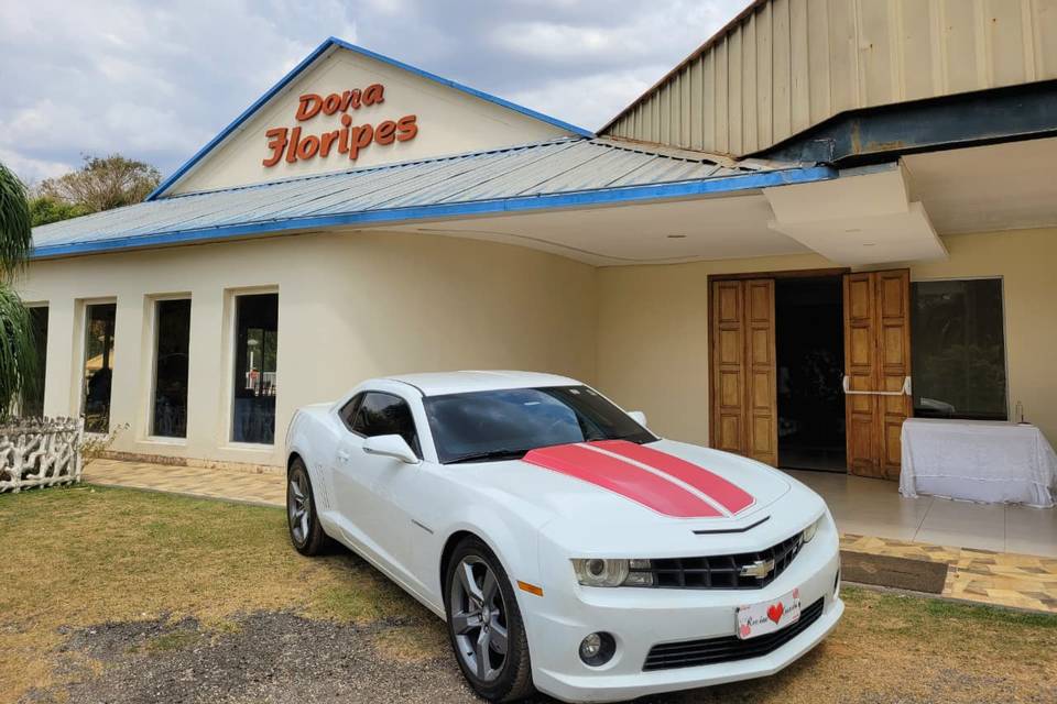Camaro Recém Casados