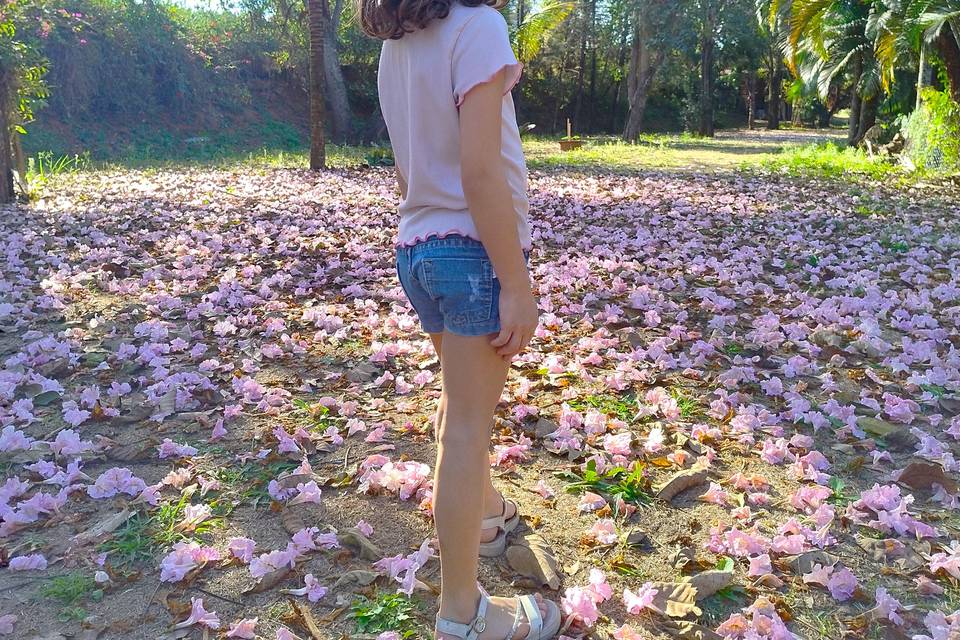 Flores