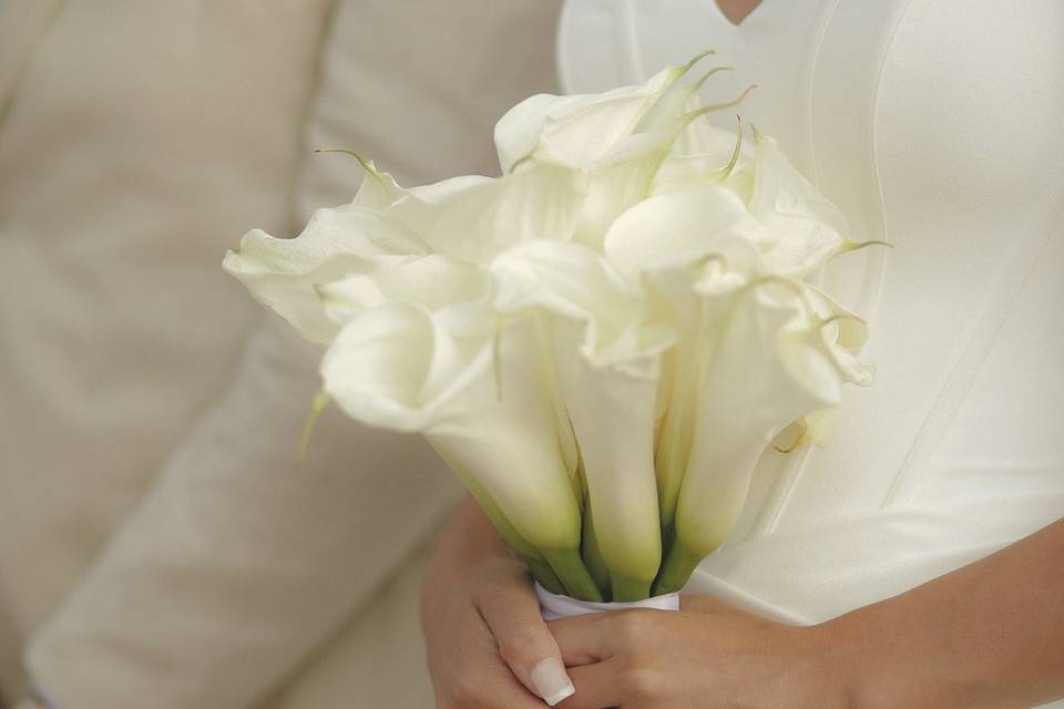 Fotógrafo de casamento SC