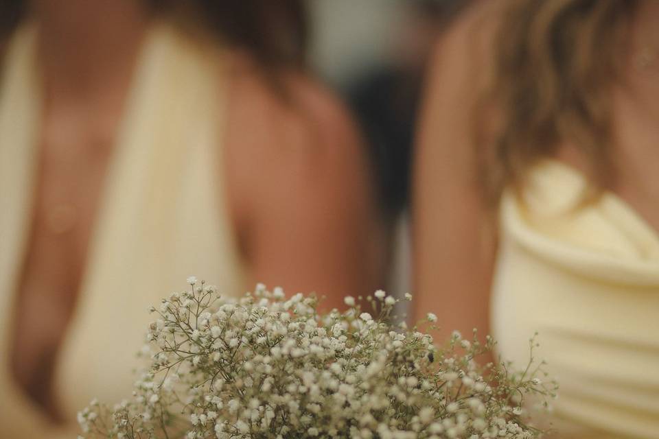 Fotógrafo de casamento SC