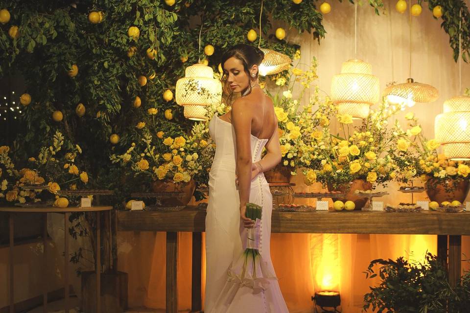 Fotógrafo de casamento SC