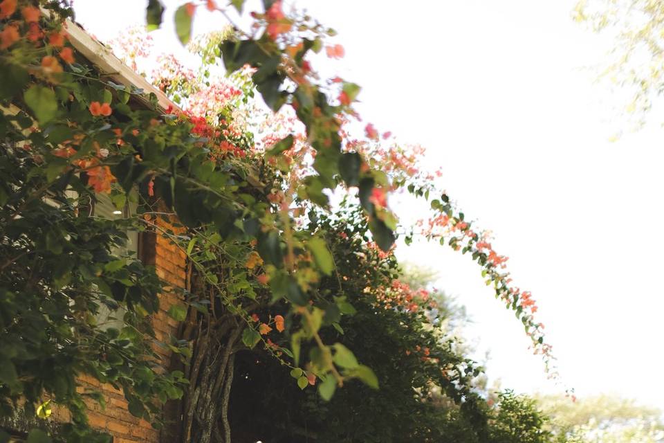 Fotógrafo de casamento SC