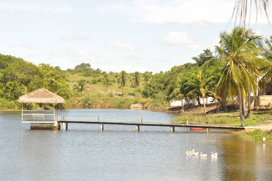 Vistas ao lago