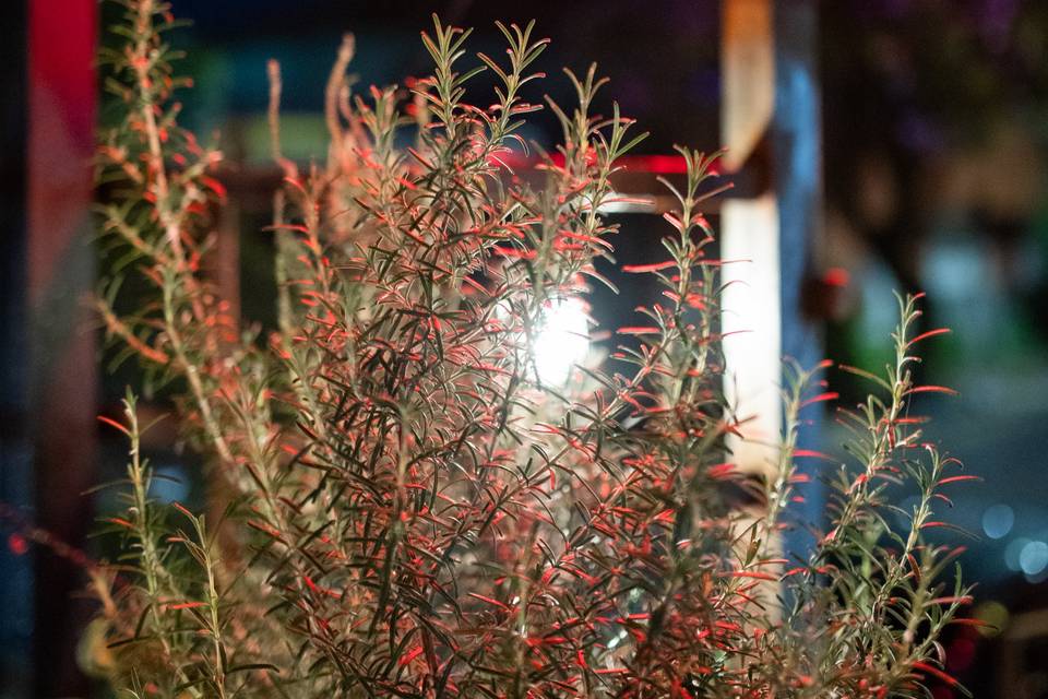 Spicy Restaurante