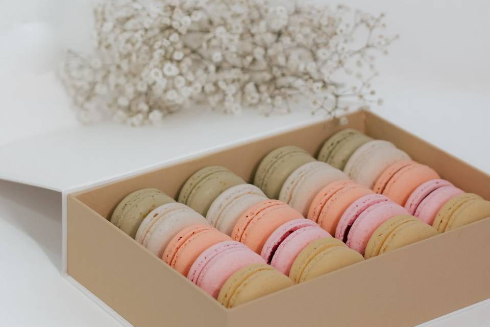 Caixa 20 macarons