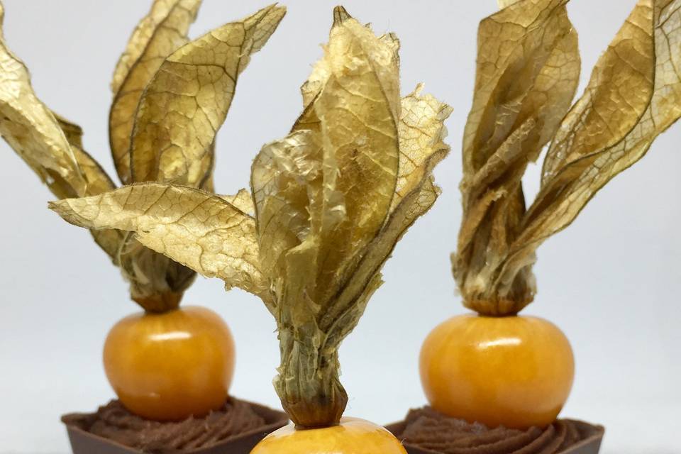 Finesse de Physalis