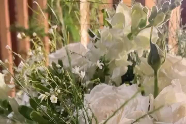 Família Coupeê Eventos