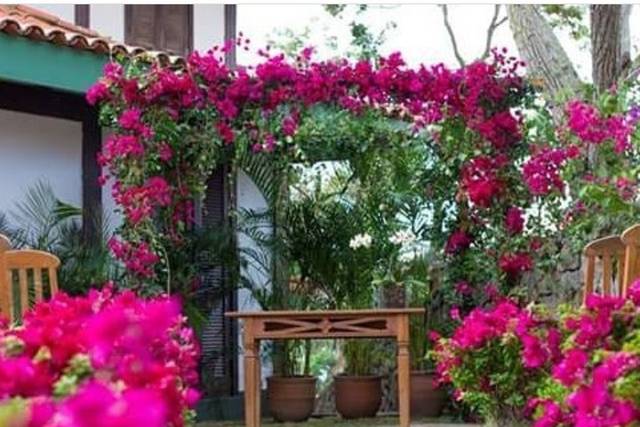 Arco com bougainville