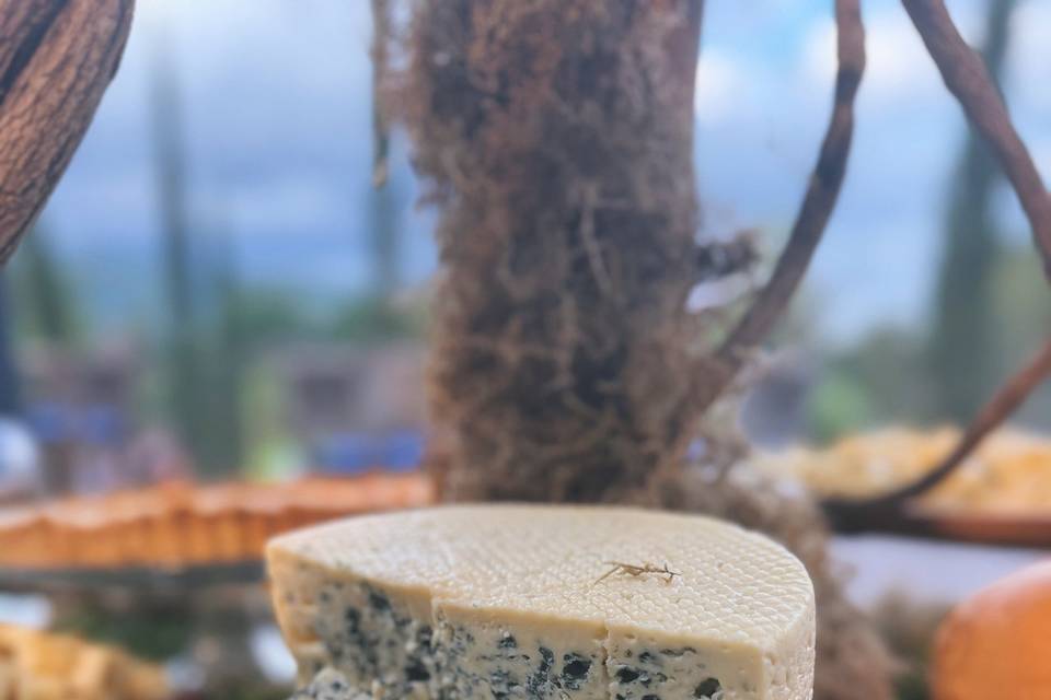 Mesa de antepastos