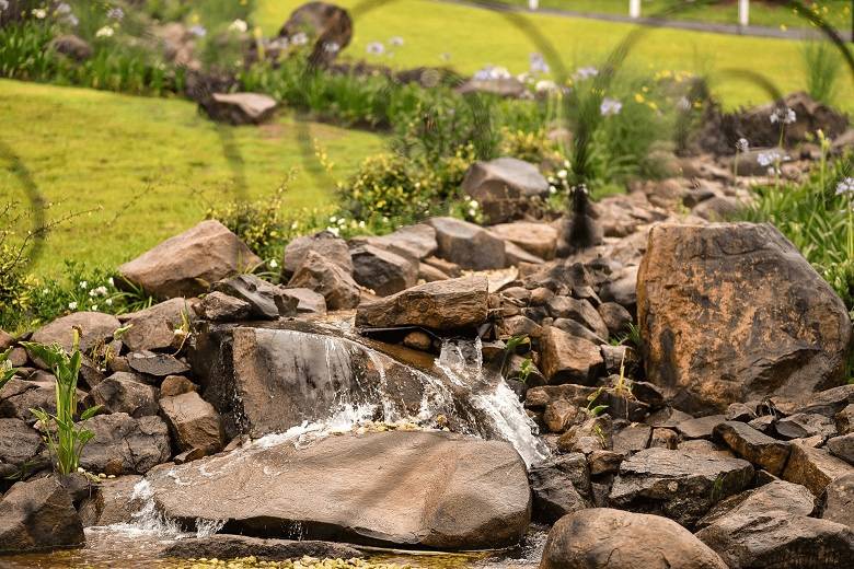 Cascata com peixes