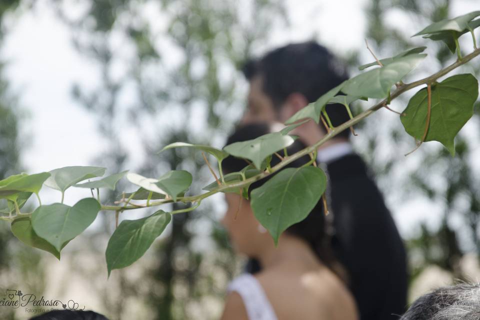 Luciane Pedrosa - Fotografia e Arte