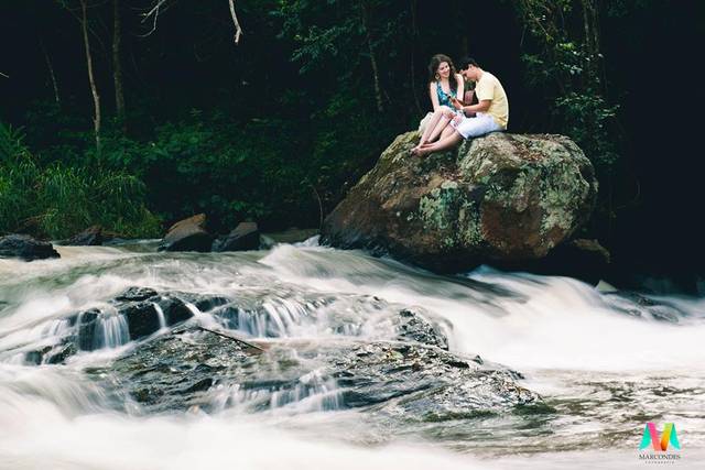 Natureza em harmonia