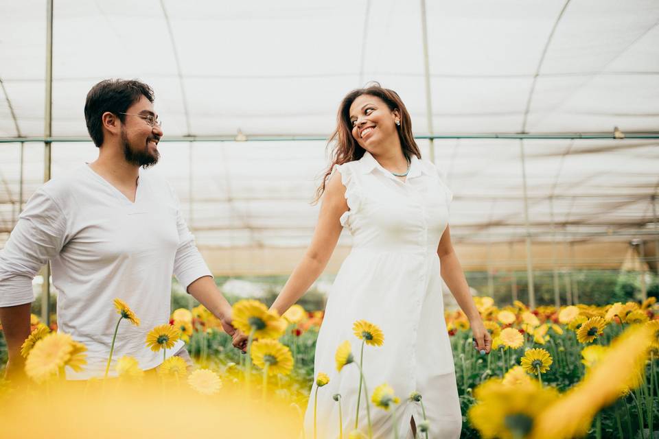 Pré Casamento - Holambra