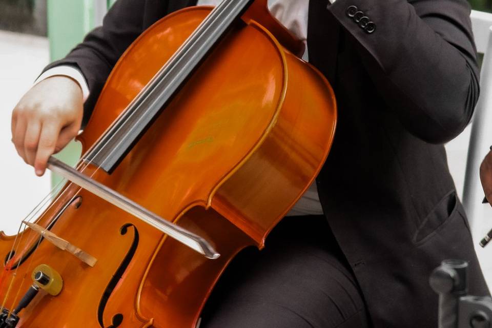 Violoncelo
