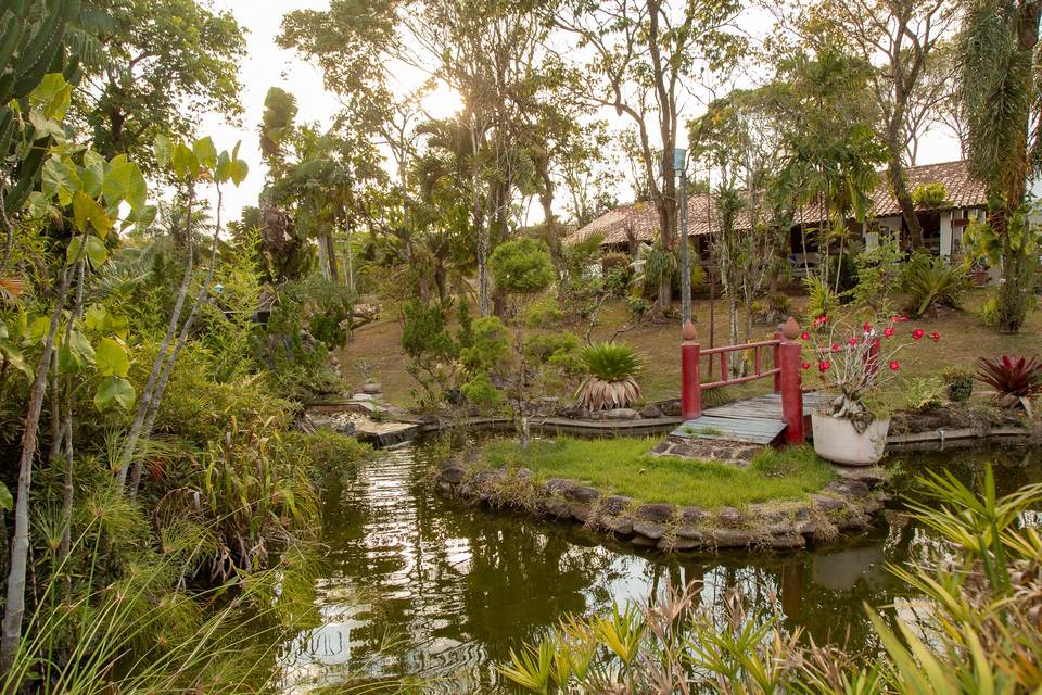 Natureza e encanto.