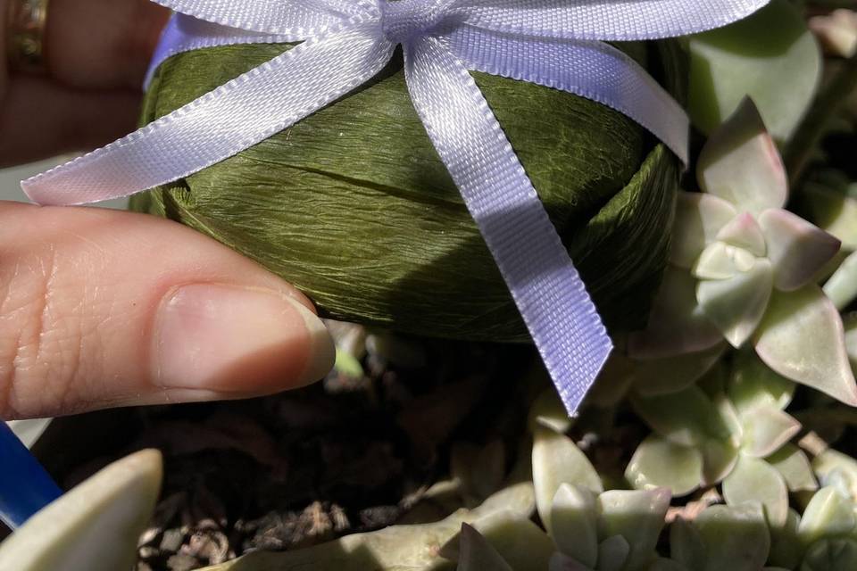 O queridinho do momento