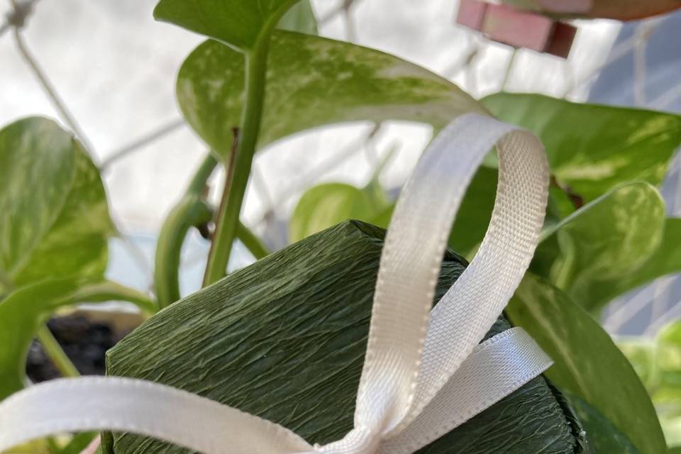 Um neutro que arrasa sempre