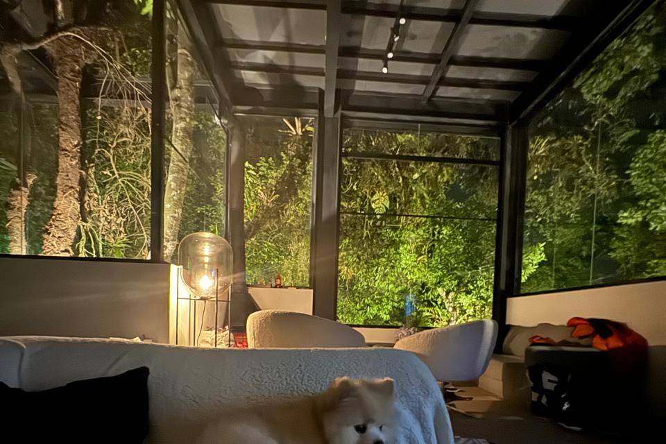 Pet Sala Torre