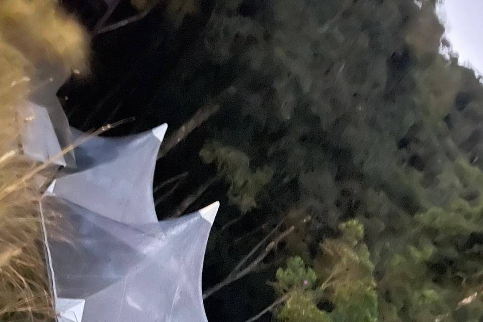 Festa
