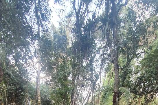 Rio - Jardim
