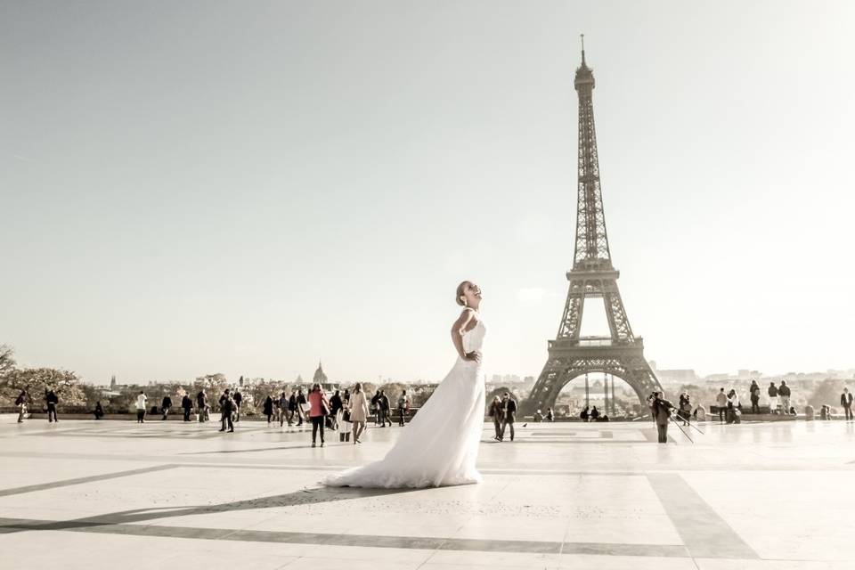 Trash the dress