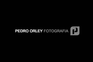 pedro orley logo