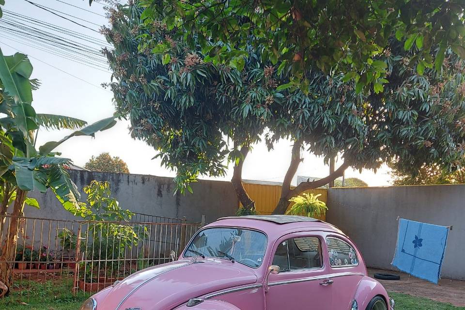 Fusca