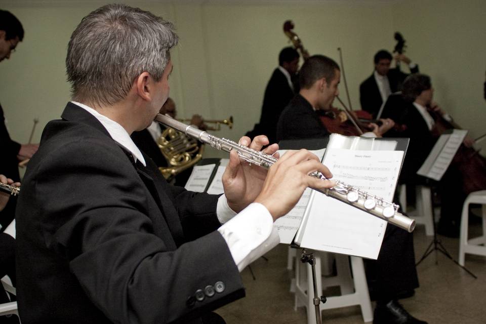 Flash mob - auditório cemig