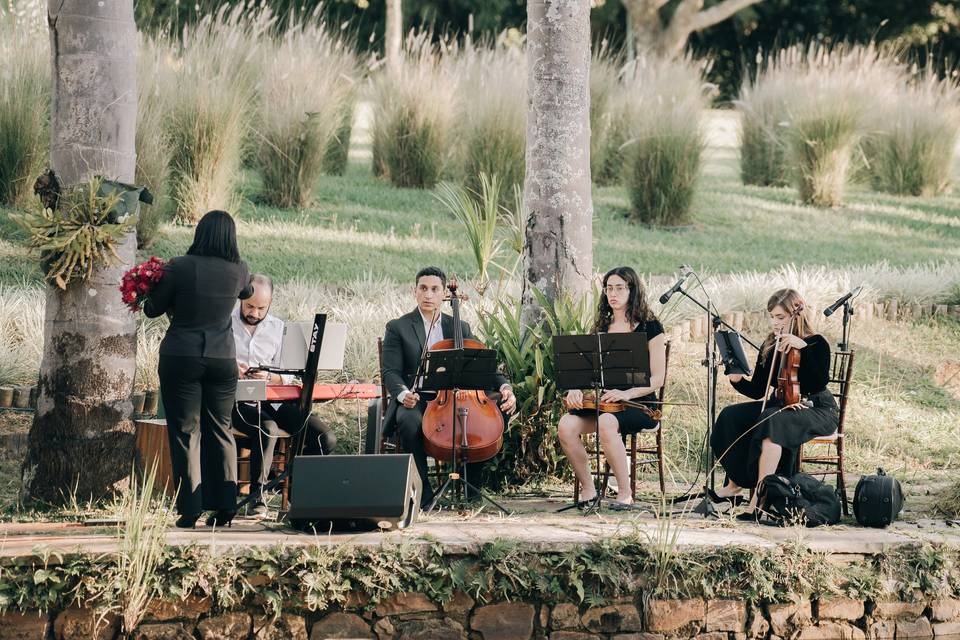 Conferência das músicas