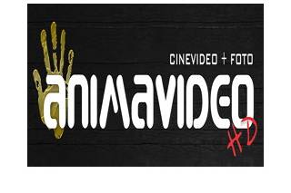 Animavideo Logo