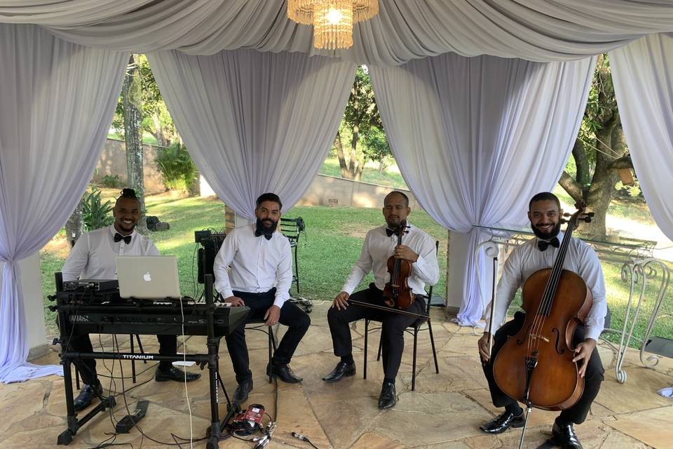 Musicalizza