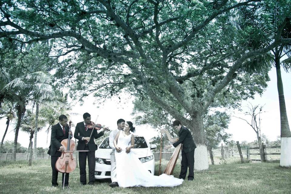 Casamento no campo