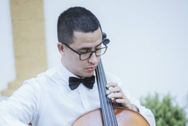 Lucas Ribeiro Violinista