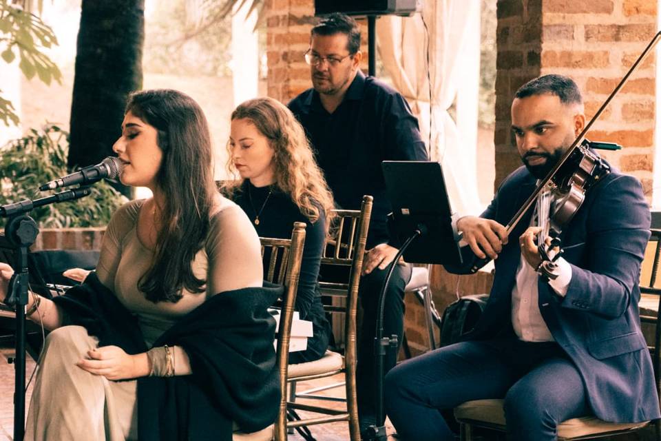 Lucas Ribeiro Violinista