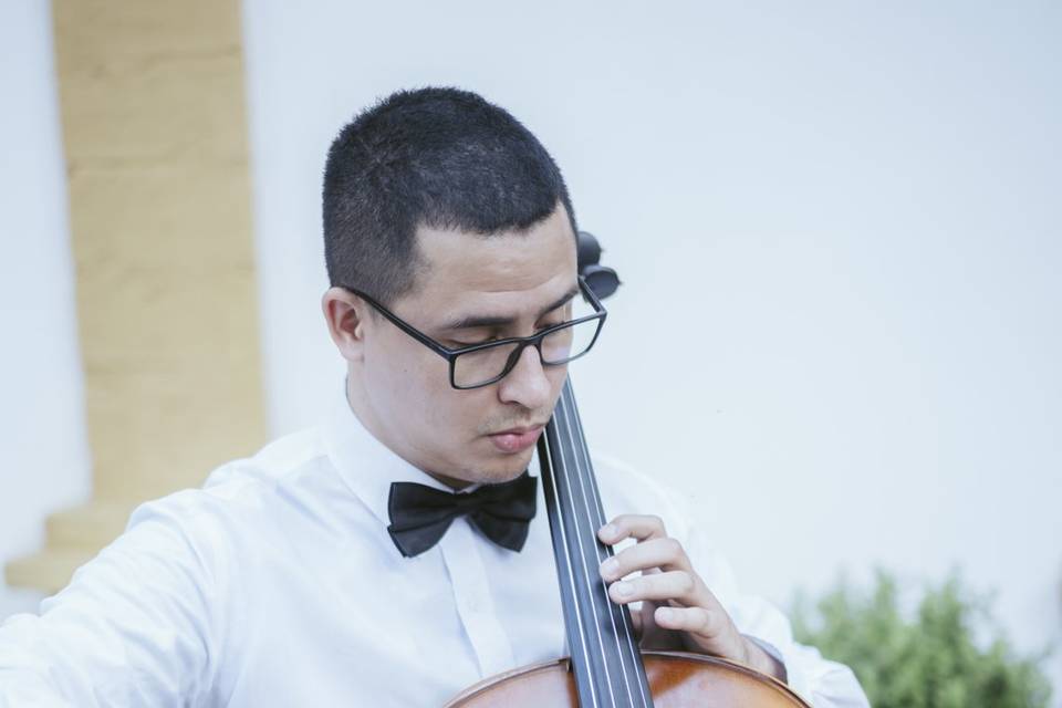 Lucas Ribeiro Violinista