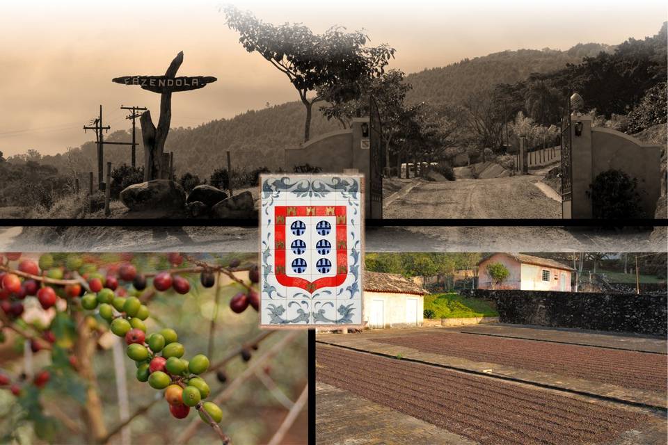 Casamento fazenda